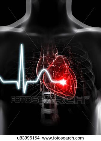 Heartbeat, artwork View Large Illustration Stock Illustration - Heartbeat, artwork. Fotosearch