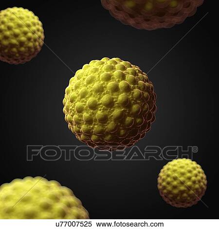 Stock Illustration - Hepatitis A, artwork. Fotosearch