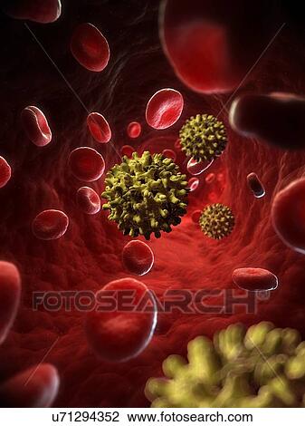 Hepatitis B virus, artwork View Large Illustration Drawing - Hepatitis B virus, artwork. Fotosearch