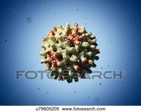 Hepatitis B virus particle, artwork View Large Illustration Stock Illustration - Hepatitis B virus particle, artwork. Fotosearch