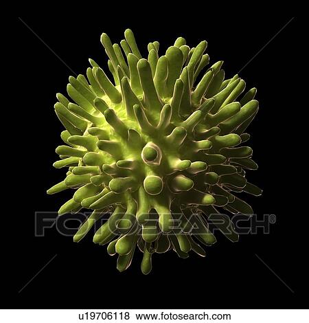Stock Illustration - Hepatitis C, artwork. Fotosearch