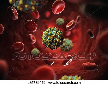 Hepatitis E virus, artwork View Large Illustration Stock Illustration - Hepatitis E virus, artwork. Fotosearch