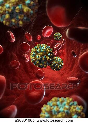 Hepatitis E virus, artwork View Large Illustration Stock Illustration - Hepatitis E virus, artwork. Fotosearch