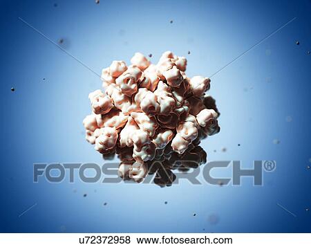Hepatitis E virus particle, artwork View Large Illustration Stock Illustration - Hepatitis E virus particle, artwork. Fotosearch