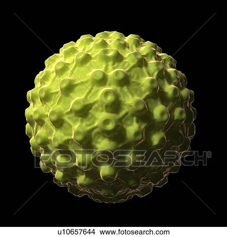 Stock Illustration - Herpes virus, artwork. Fotosearch