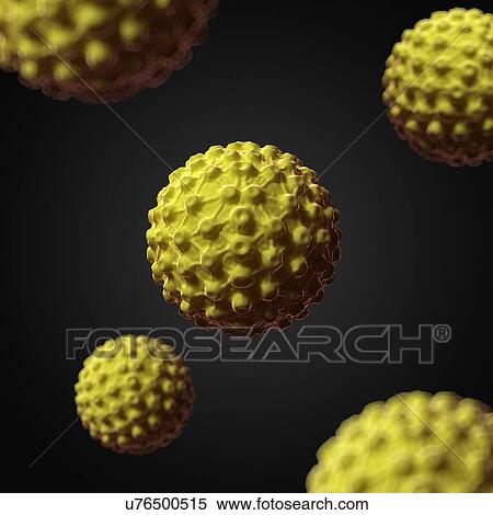 Herpes virus, artwork View Large Illustration Stock Illustration - Herpes virus, artwork. Fotosearch