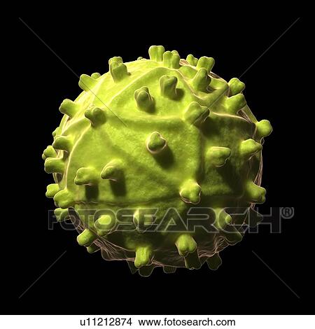 HIV virus, artwork View Large Illustration Stock Illustration - HIV virus, artwork. Fotosearch