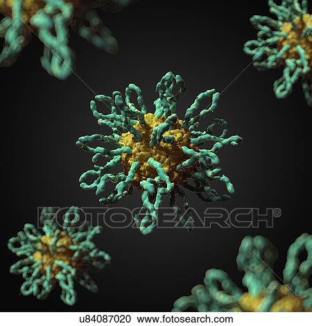 Clipart - Human coxsackievirus, artwork. Fotosearch