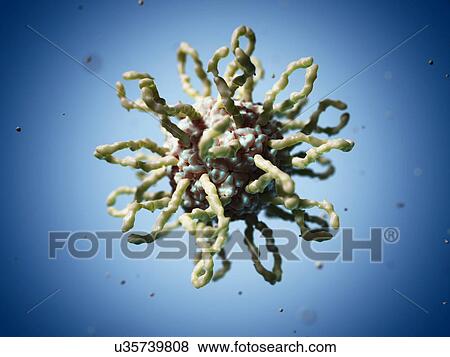 Stock Illustration - Human coxsackievirus, artwork. Fotosearch