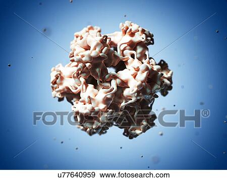 Stock Illustration - Human papilloma virus, artwork. Fotosearch