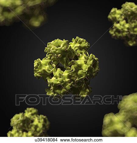 Human papillomavirus, artwork View Large Illustration Stock Illustration - Human papillomavirus, artwork. Fotosearch