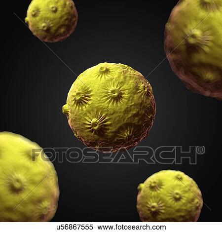 Human papillomavirus virus, artwork View Large Illustration Stock Illustration - Human papillomavirus virus, artwork. Fotosearch