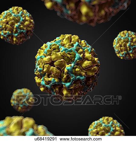 Clip Art - Human rhinovirus 14, artwork. Fotosearch