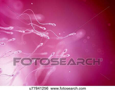 Stock Illustration - Human sperm, artwork. Fotosearch