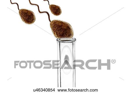 Stock Illustration - In vitro fertilisation, artwork. Fotosearch