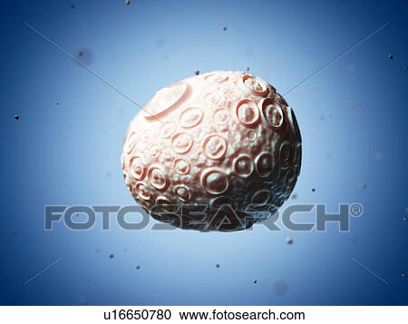 Clipart - Infectious salmon anaemia virus, artwork. Fotosearch