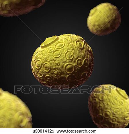 Stock Illustration - Infectious salmon anaemia virus, artwork. Fotosearch