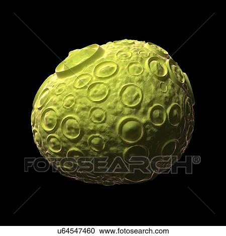 Infectious salmon anaemia virus particle View Large Illustration Clipart - Infectious salmon anaemia virus particle. Fotosearch