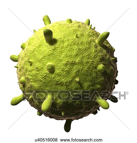 Influenza virus, artwork View Large Illustration Stock Illustration - Influenza virus, artwork. Fotosearch