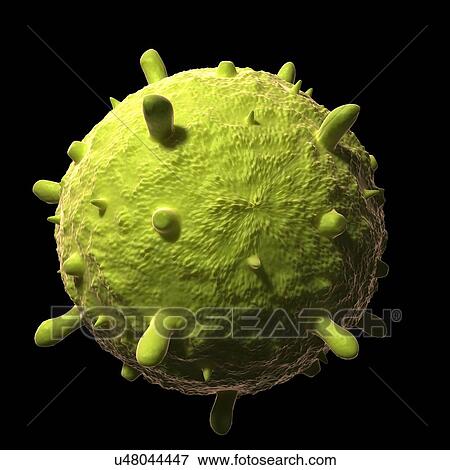 Influenza virus, artwork View Large Illustration Stock Illustration - Influenza virus, artwork. Fotosearch