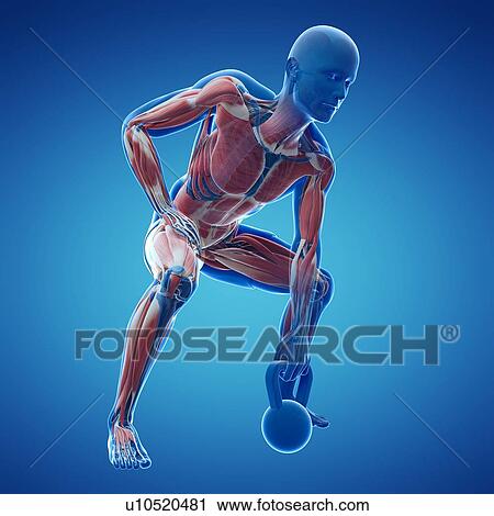 Clip Art - Kettlebell workout, artwork. Fotosearch