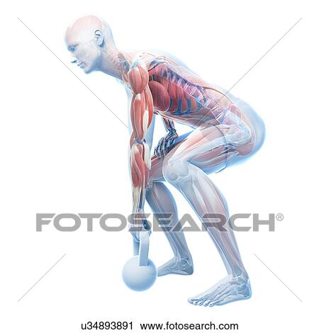 Kettlebell workout, artwork View Large Illustration Clip Art - Kettlebell workout, artwork. Fotosearch