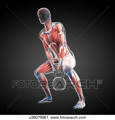 Clip Art - Kettlebell workout, artwork. Fotosearch