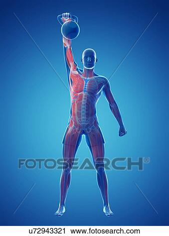 Clip Art - Kettlebell workout, artwork. Fotosearch