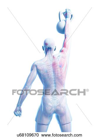 Kettlebell workout, artwork View Large Illustration Clipart - Kettlebell workout, artwork. Fotosearch