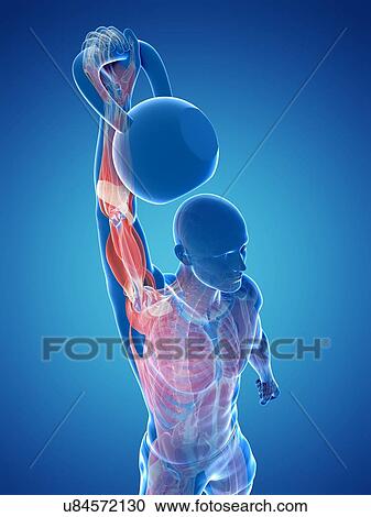 Clipart - Kettlebell workout, artwork. Fotosearch