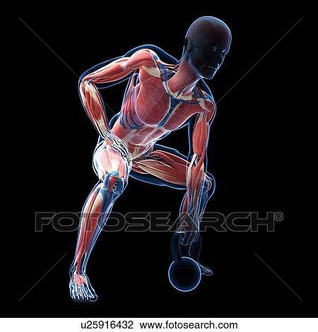 Kettlebell workout, artwork View Large Illustration Drawing - Kettlebell workout, artwork. Fotosearch