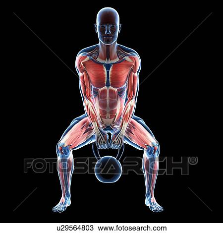 Drawing - Kettlebell workout, artwork. Fotosearch