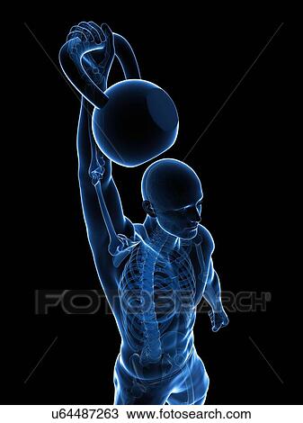 Drawing - Kettlebell workout, artwork. Fotosearch