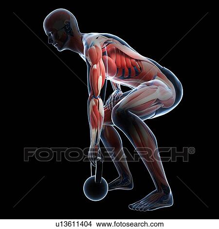 Stock Illustration - Kettlebell workout, artwork. Fotosearch