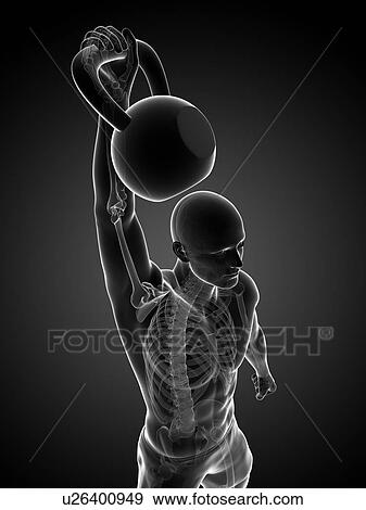 Kettlebell workout, artwork View Large Illustration Stock Illustration - Kettlebell workout, artwork. Fotosearch