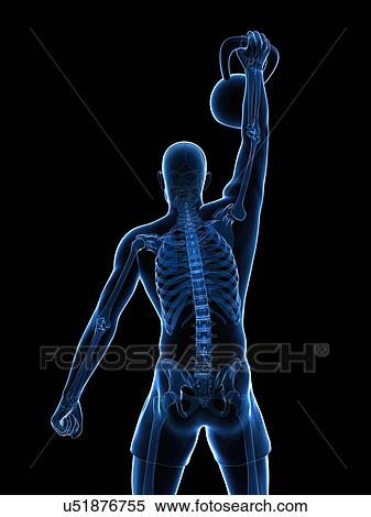 Kettlebell workout, artwork View Large Illustration Stock Illustration - Kettlebell workout, artwork. Fotosearch