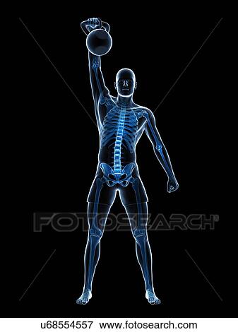 Stock Illustration - Kettlebell workout, artwork. Fotosearch