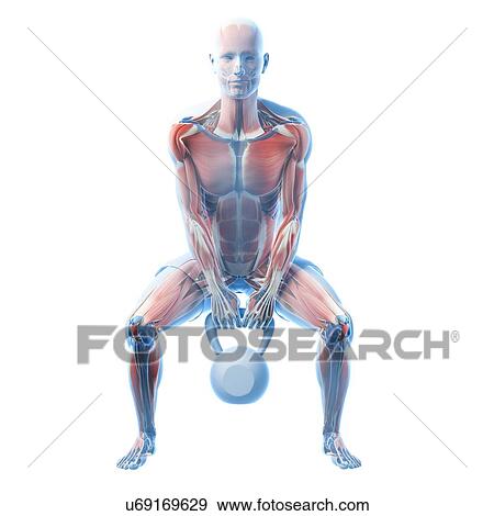 Kettlebell workout, artwork View Large Illustration Stock Illustration - Kettlebell workout, artwork. Fotosearch