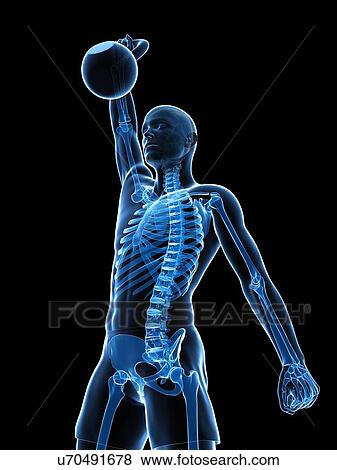 Stock Illustration - Kettlebell workout, artwork. Fotosearch