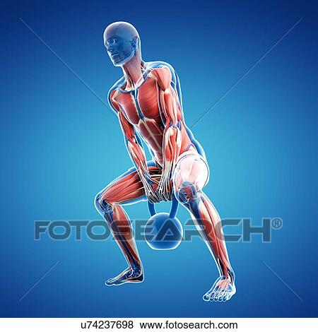Kettlebell workout, artwork View Large Illustration Stock Illustration - Kettlebell workout, artwork. Fotosearch