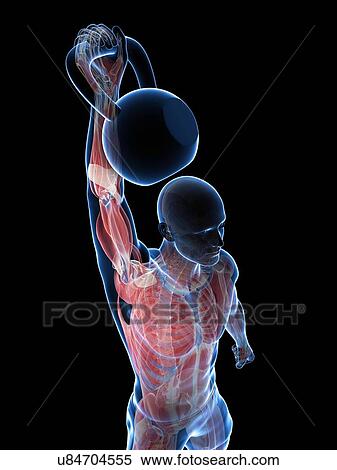 Stock Illustration - Kettlebell workout, artwork. Fotosearch