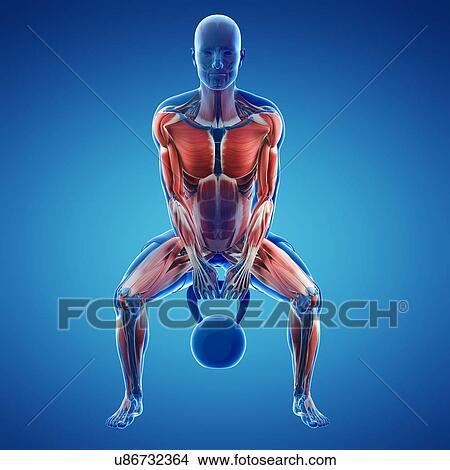 Kettlebell workout, artwork View Large Illustration Stock Illustration - Kettlebell workout, artwork. Fotosearch