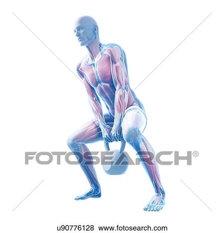 Kettlebell workout, artwork View Large Illustration Stock Illustration - Kettlebell workout, artwork. Fotosearch