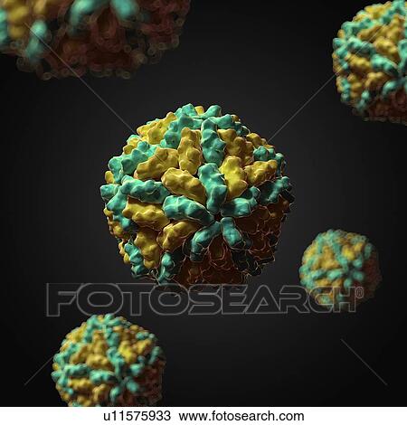 L-A virus, artwork View Large Illustration Drawing - L-A virus, artwork. Fotosearch