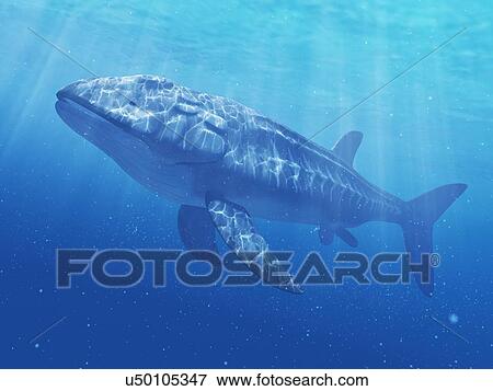 Leedsichthys prehistoric fish, artwork View Large Illustration Stock Illustration - Leedsichthys prehistoric fish, artwork. Fotosearch