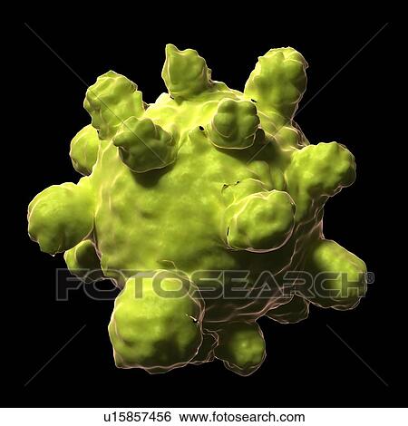 Measles virus, artwork View Large Illustration Stock Illustration - Measles virus, artwork. Fotosearch