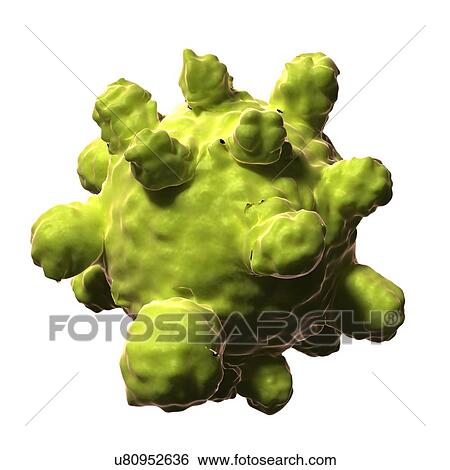 Stock Illustration - Measles virus, artwork. Fotosearch