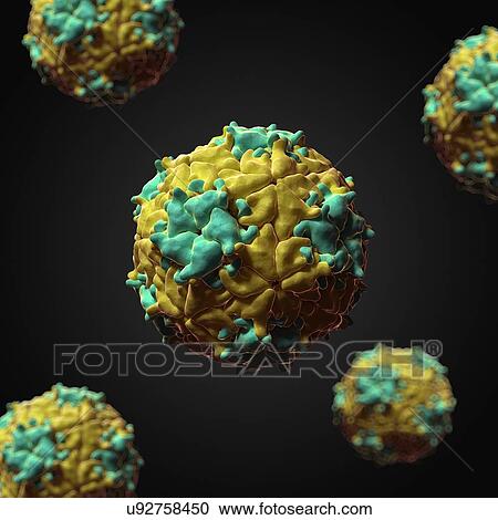 Clipart - Mengo Encephalomyocarditis virus, artwork. Fotosearch