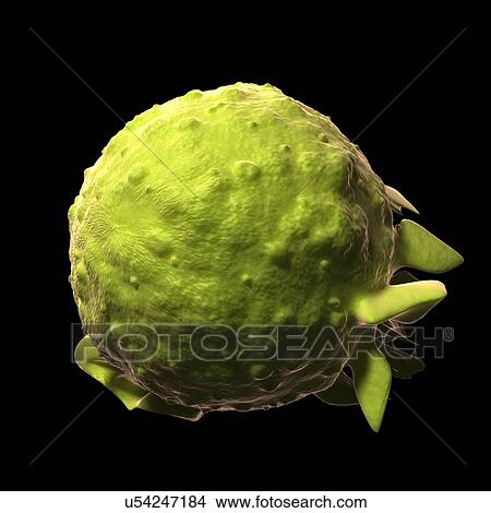 Stock Illustration - Mono virus, artwork. Fotosearch