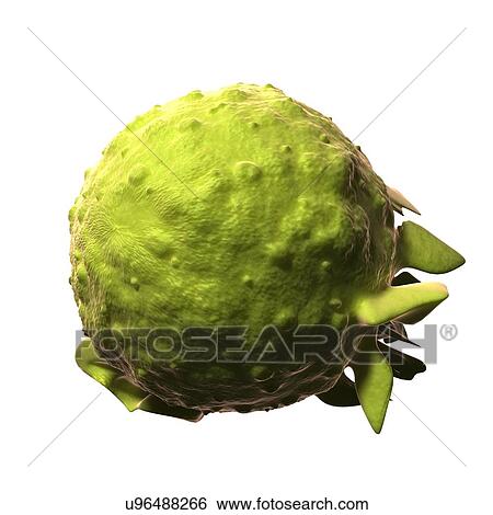 Stock Illustration - Mono virus, artwork. Fotosearch